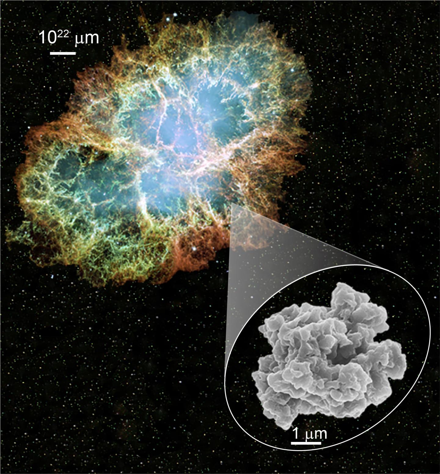 Supernova Dust Grains Likely Formed At Least Two Years After Explosion of Parent Stars (1 of 1)