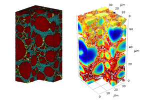 3D side-by-side battery microscopy and model