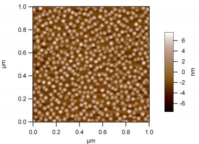 Atomic Force Microscopy Scan