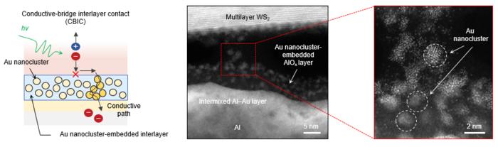 [Figure 1] Schematic and transmission electron micrograph of the CBIC electrode developed by the researchers.