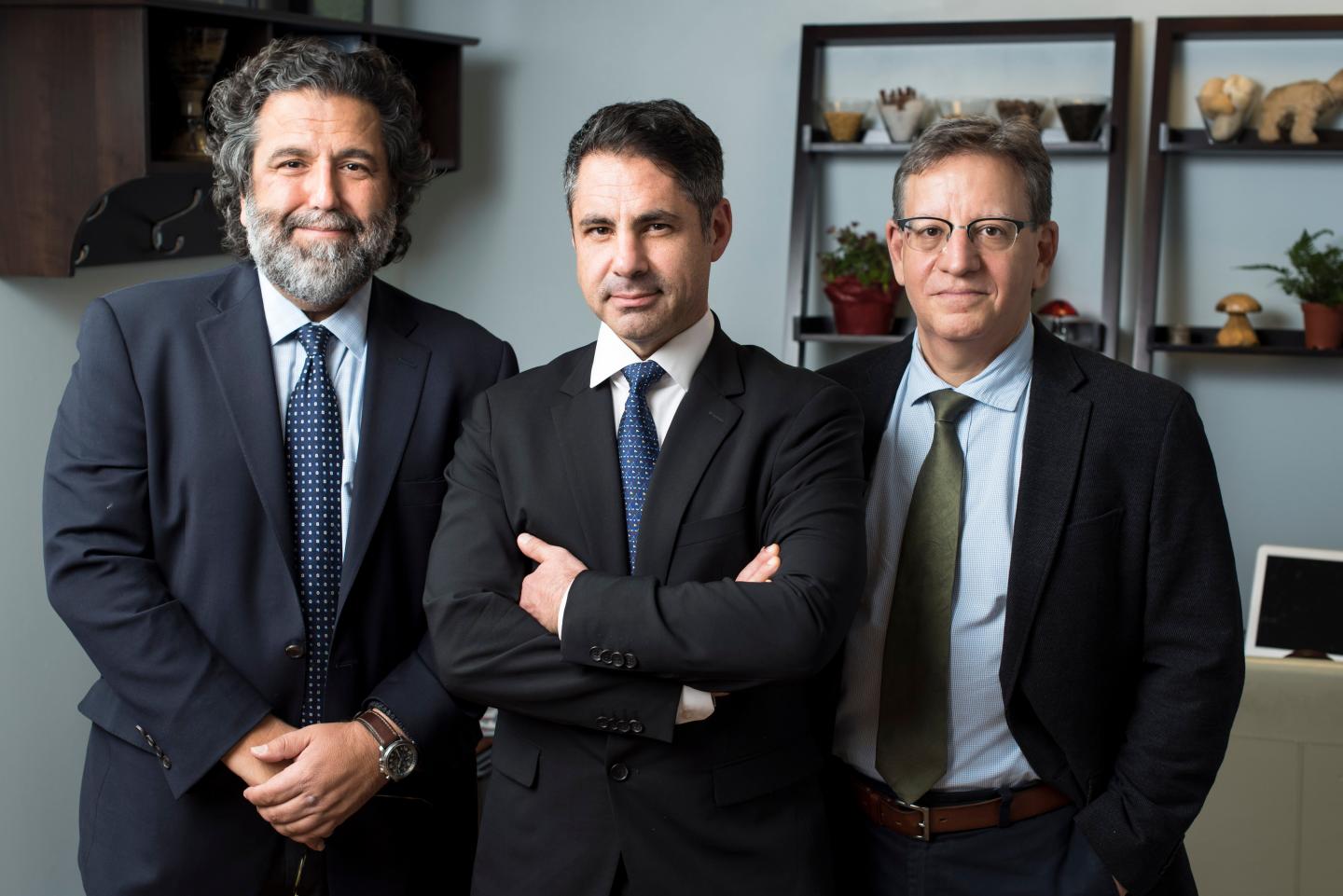 Psilocybin Study Investigators