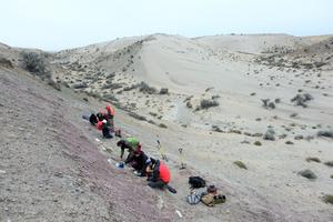 Overview of Cañadón Tomás Quarry