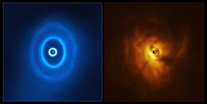 ALMA and SPHERE view of GW Orionis (side-by-side)