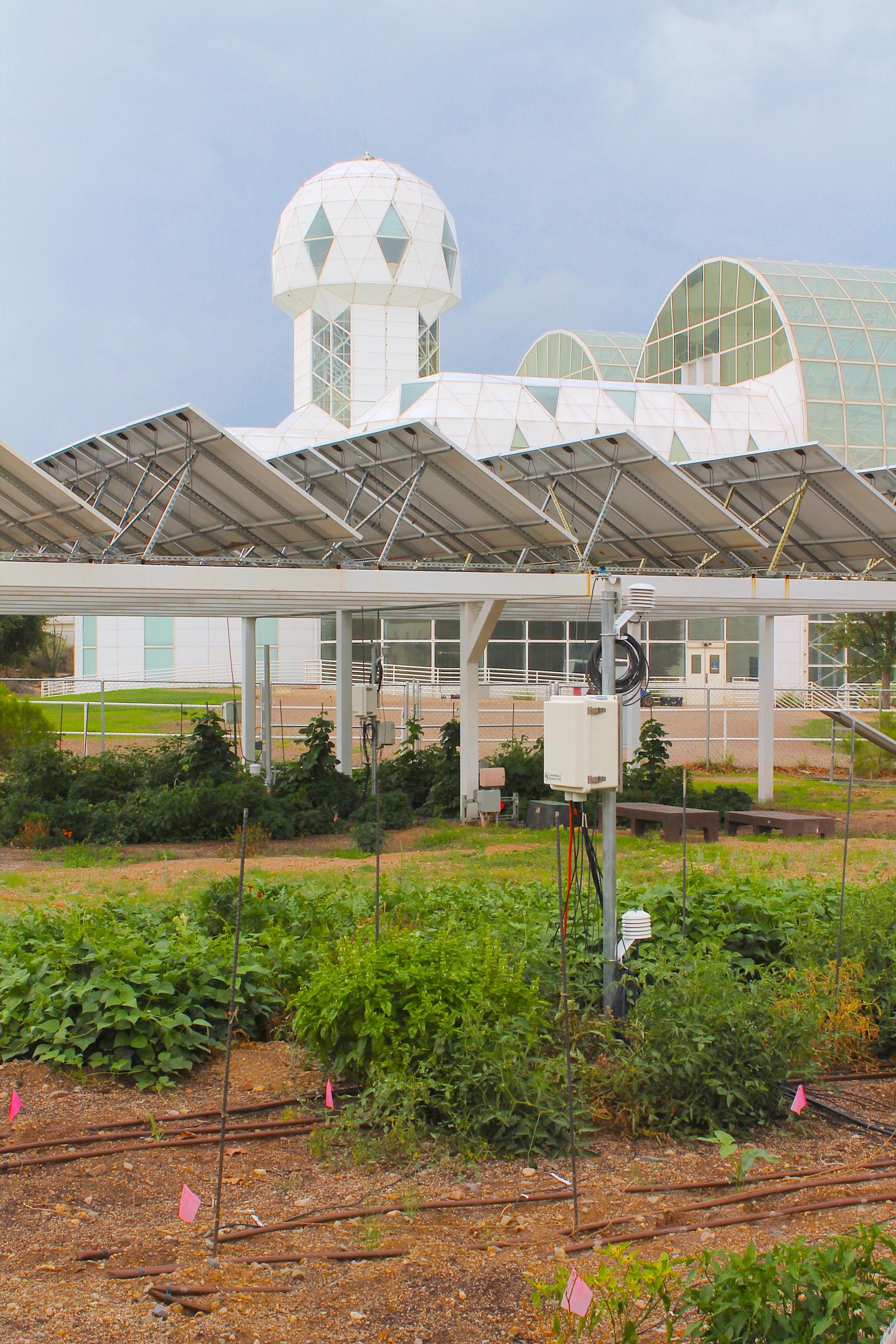 Biosphere 2 Agrivoltaics Research Plots