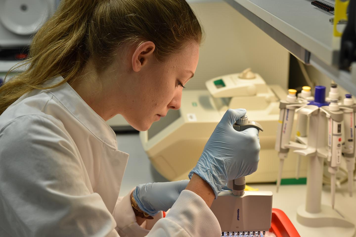A scientist in Christoph Bock's lab studying gene regulation