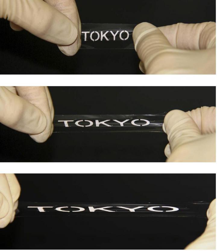 Electronic Functional Ink Printed on Textile