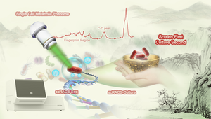 A complete workflow of scRACS-Culture for bioresource mining from environmental microbiomes