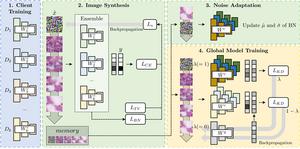 Model structure devised by the research team