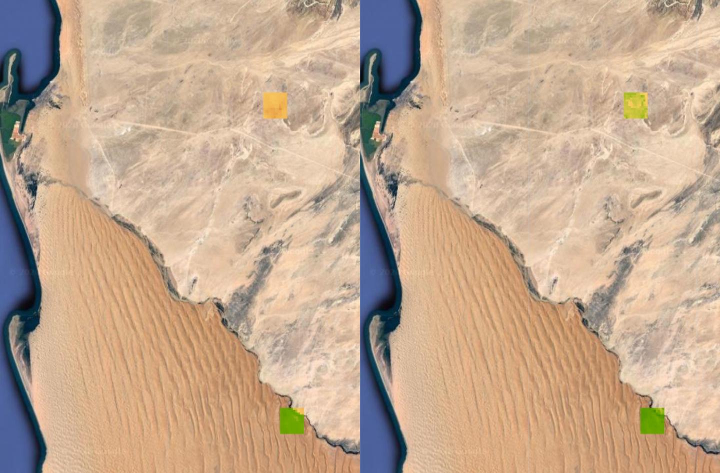 Satellite Images of Fog-Related Vegetation Changes in the Namib Desert