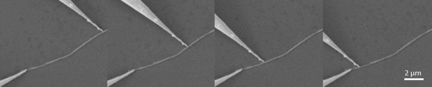 Testing the Conductivity of Carbon Nanotubes