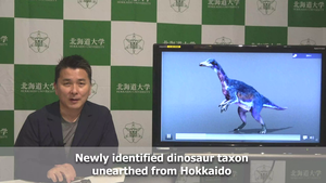 Significance of the discovery of Paralitherizinosaurus japonicus