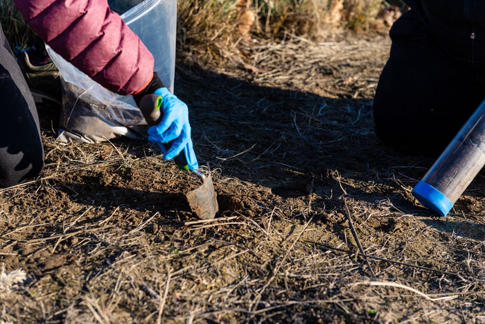 soil samples