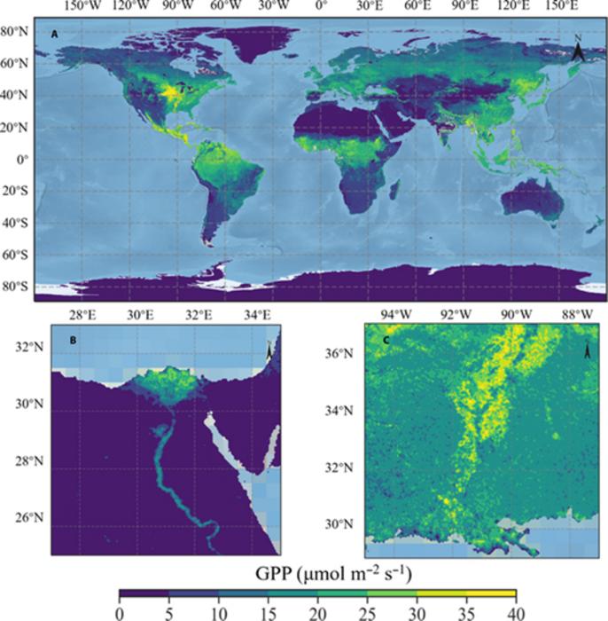 Spatial pattern of CMLR GPP on 29 July 2019 at a 0.05° resolution.