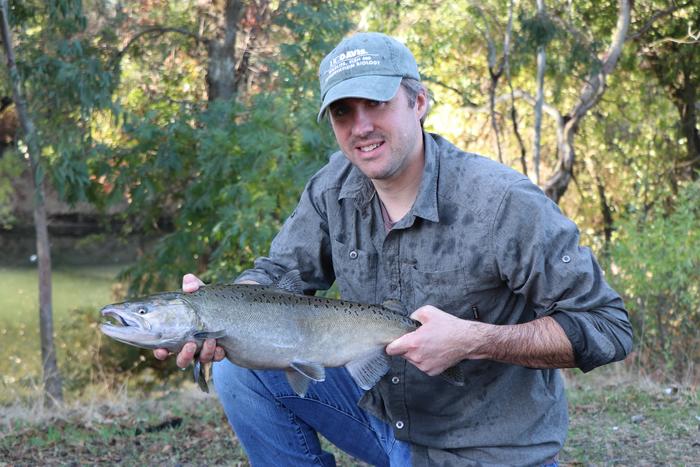 Professor Andrew Rypel with chinook salmon