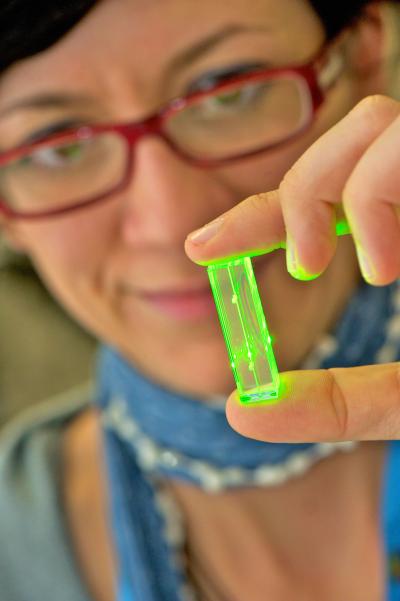 Silvia Cipiccia, University of Strathclyde