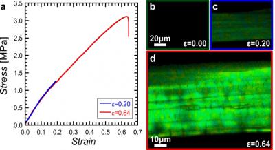 Mechanophore Activation