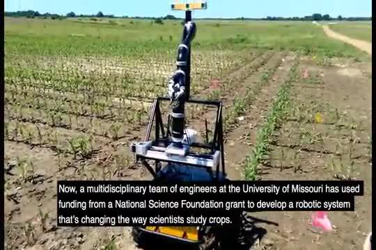 Fighting World Hunger: Robotics Aid in the Study of Corn and Drought Tolerance