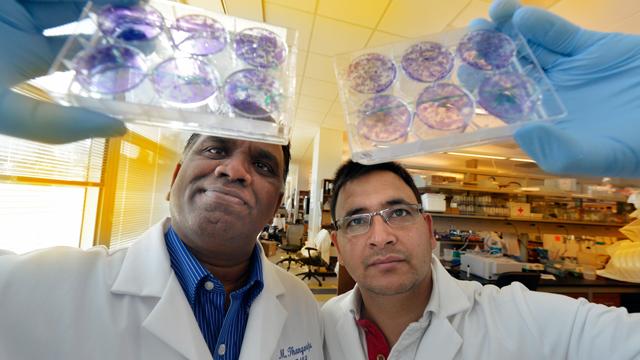 GRU Senior Photographer