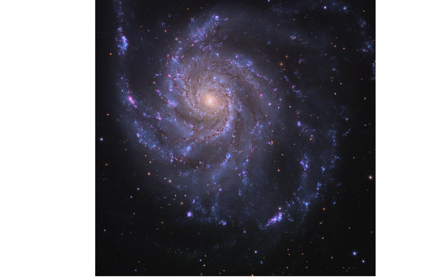 Galaxy M101 Before Supernova