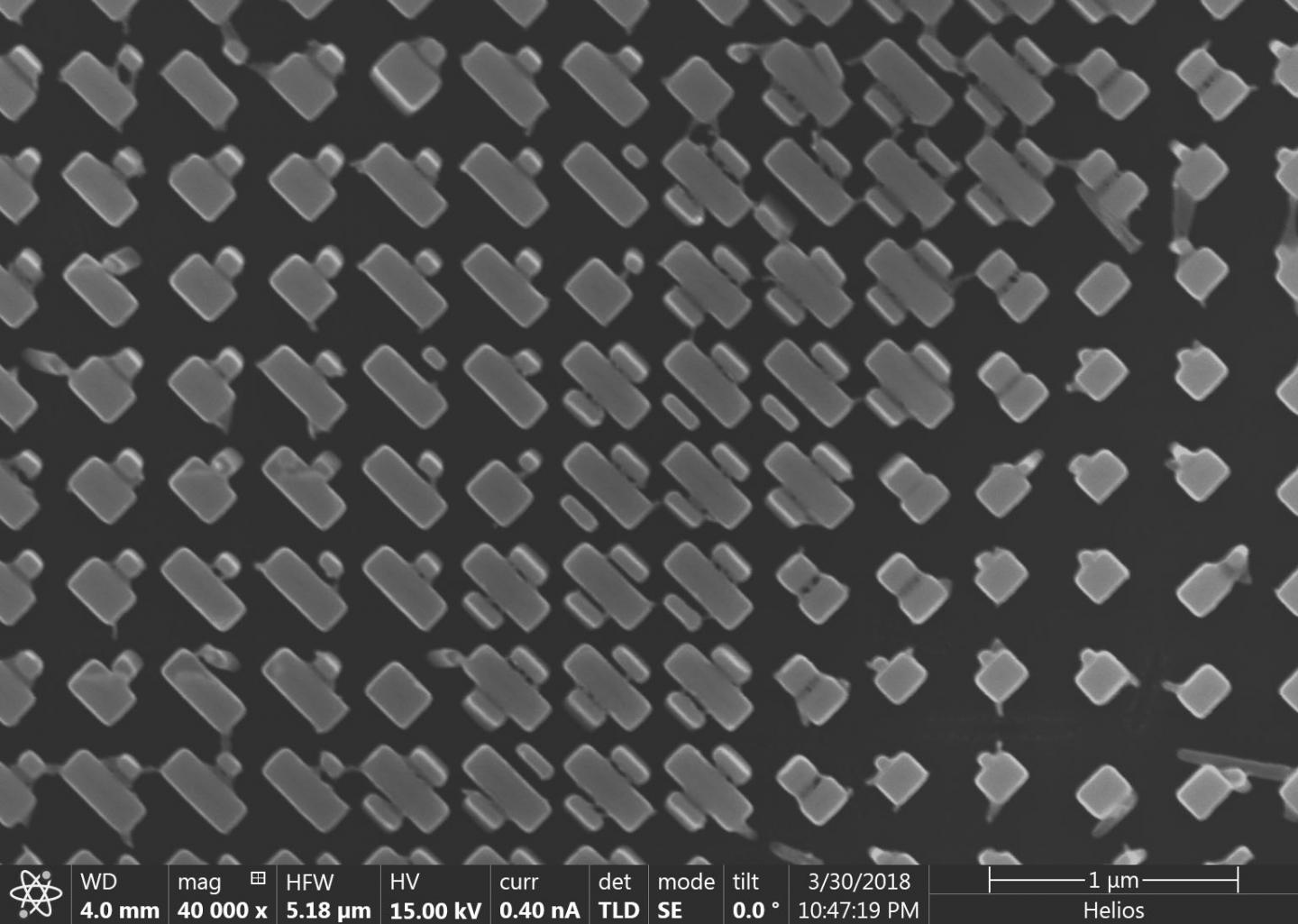 SEM Image of Nanofins