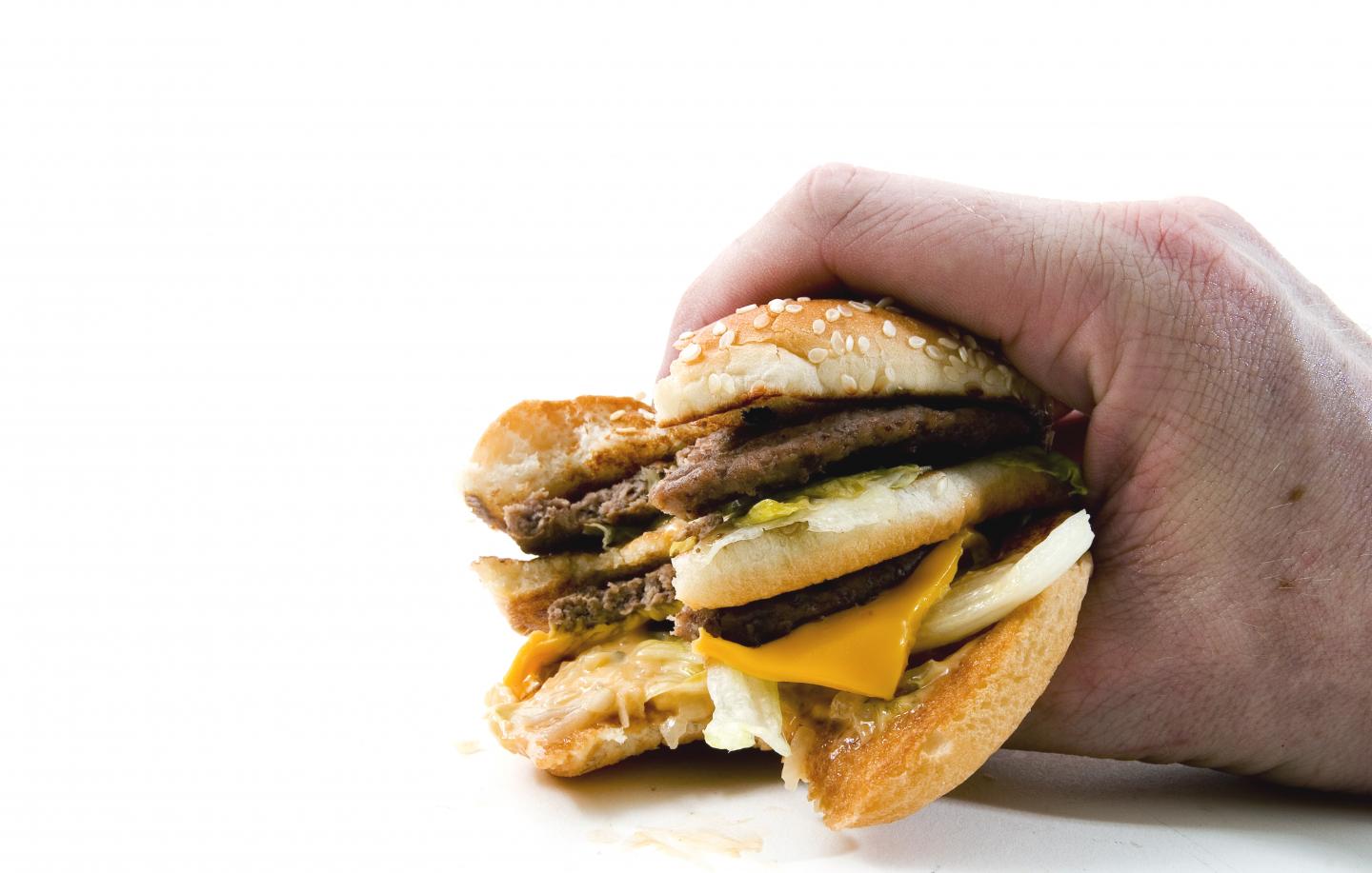 Of Mice and Cheeseburgers: Experimental Drug Reverses Obesity-Related Liver Disease