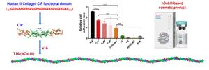 THE STRUCTURE AND FUNCTION OF RECOMBINANT HUMANIZED TYPE III COLLAGEN AS WELL AS ITS RELATED PRODUCT approved by CHINA NMPa for COSMETICS USE