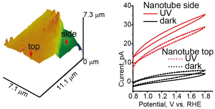 Three-dimensional topographic image of TiO2 nanotube array and local photocurrent response.