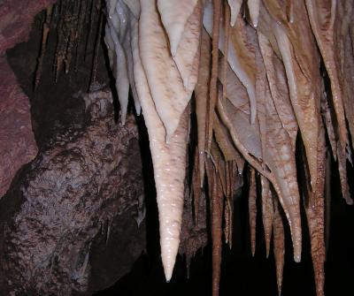 Stalactites in Kartchner Caverns