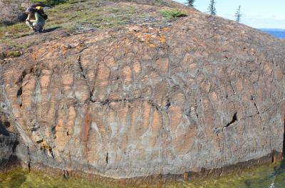 An Outcrop of Carbonate Stromatolites