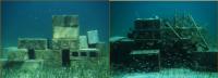 Simple Versus Complex Artificial Reef Structures.
