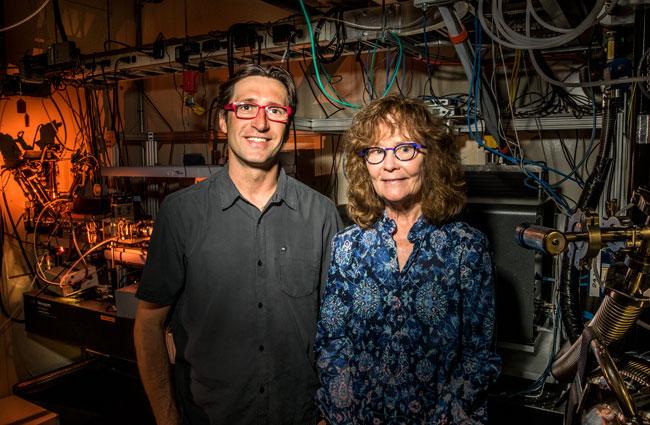 Michal Hammel and Carolyn Larabell, 	DOE/Lawrence Berkeley National Laboratory