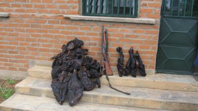 Hunting in Central African Forests