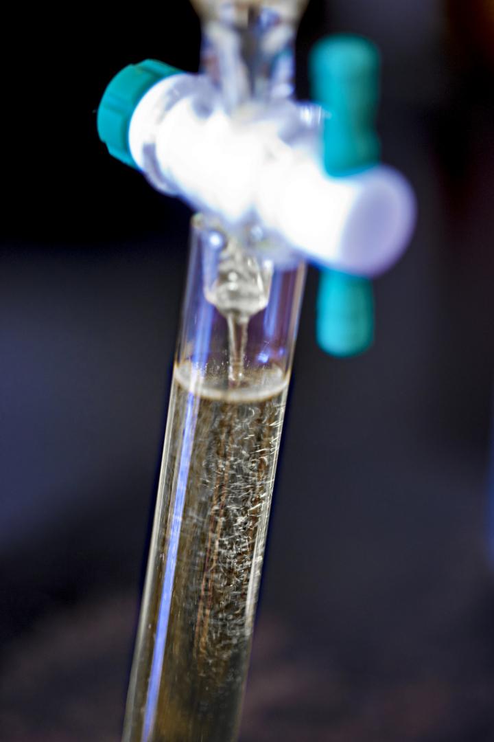 Schubert Lab -- J147