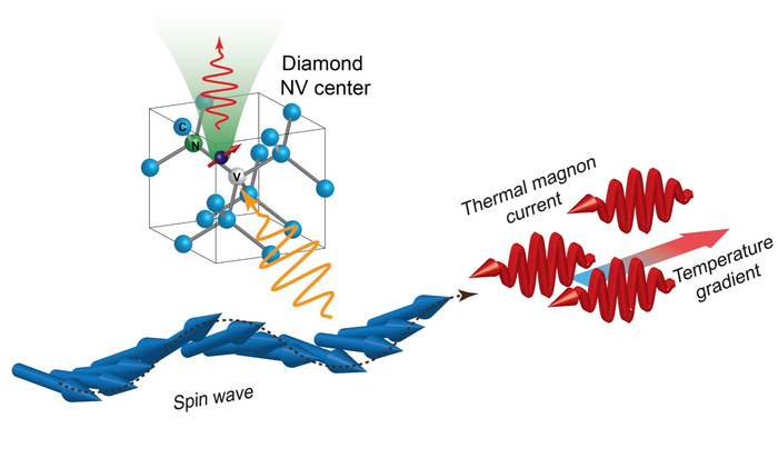 Probing thermal magnon current mediated by spin wave via diamond quantum spin sensor