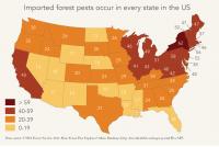 Imported Forest Pests in the US