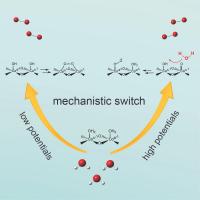 A Potential-Dependent Switch