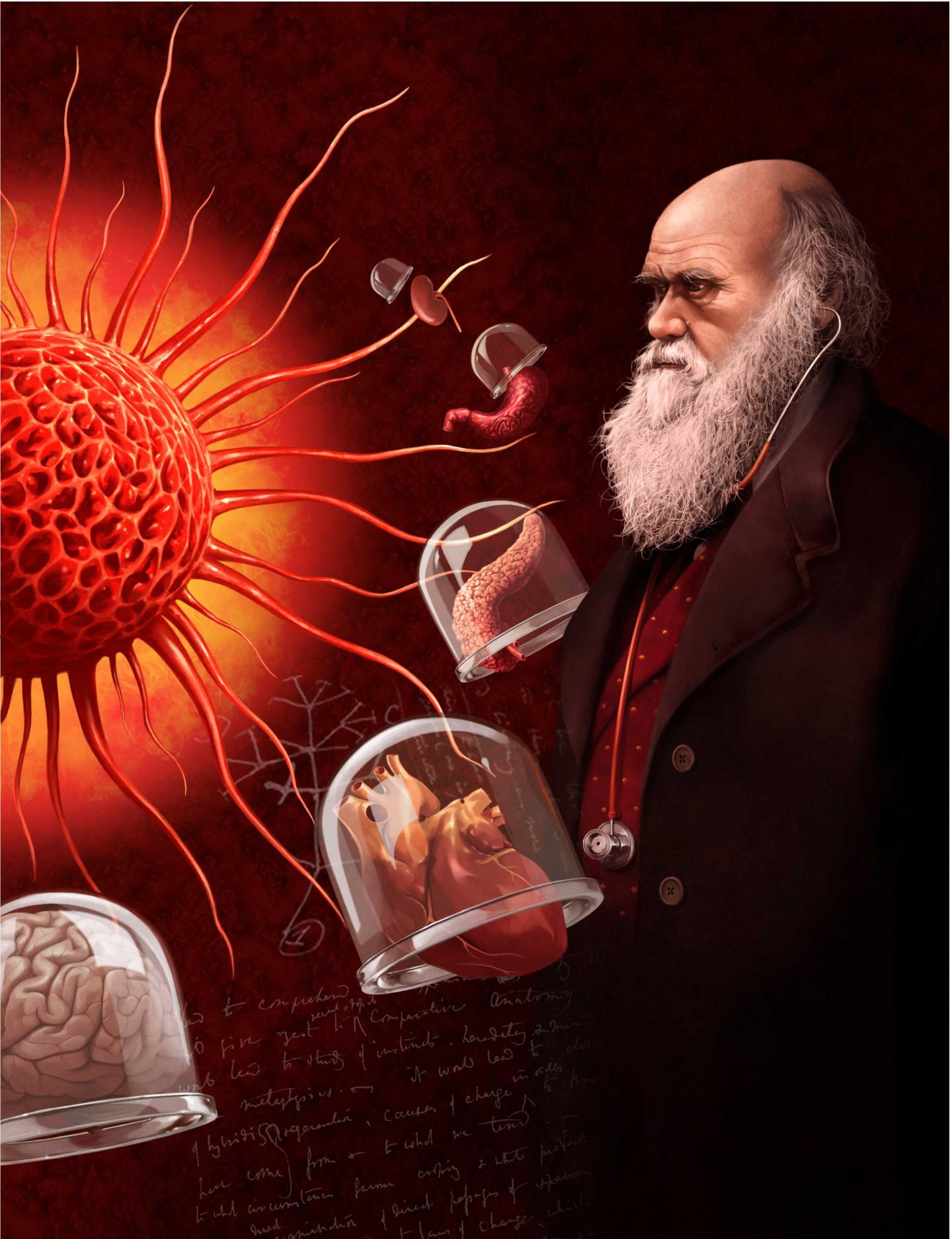 Cancer and Darwinian Fitness