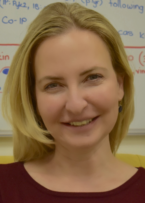 New molecular blocker halts breast cancer metastasis