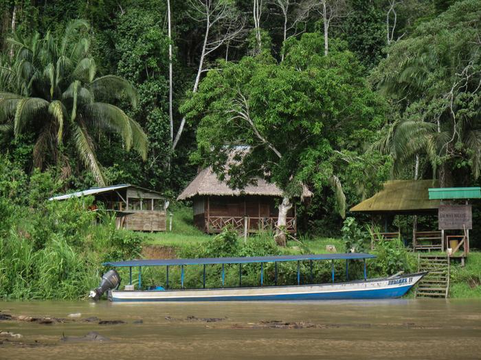 Research Station "Los Amigos" in Peru