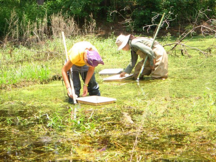 Rice Undergraduates Collect Samples