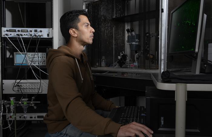 Studying memory at the cellular level