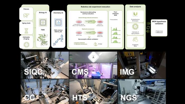 A groundbreaking study led by researchers at Insilico Medicine has revealed the potential of TNIK inhibition as an innovative anti-aging strategy.