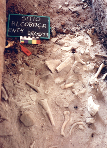 Alcobaça archaeological site