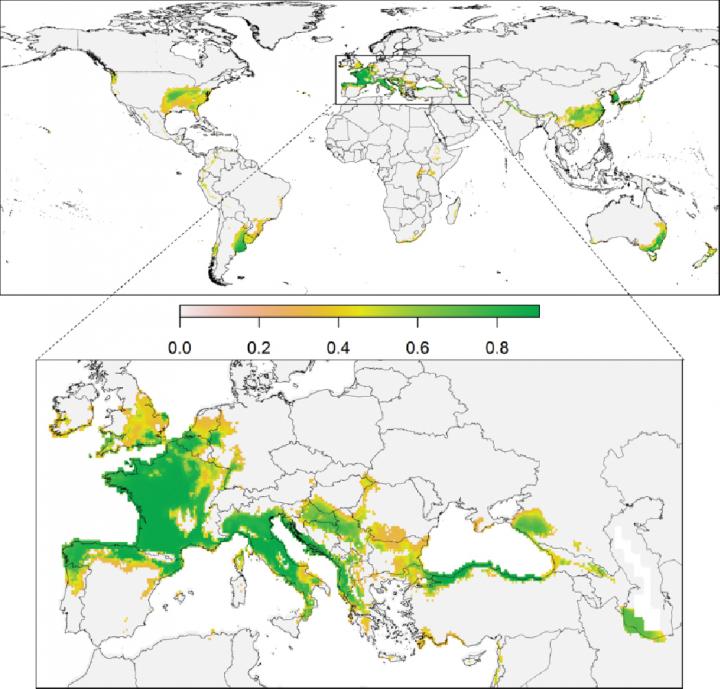 Consensus Climate Suitability