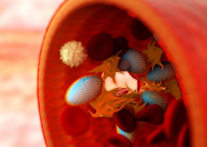 Artist's Rendering of Synthetic Platelets