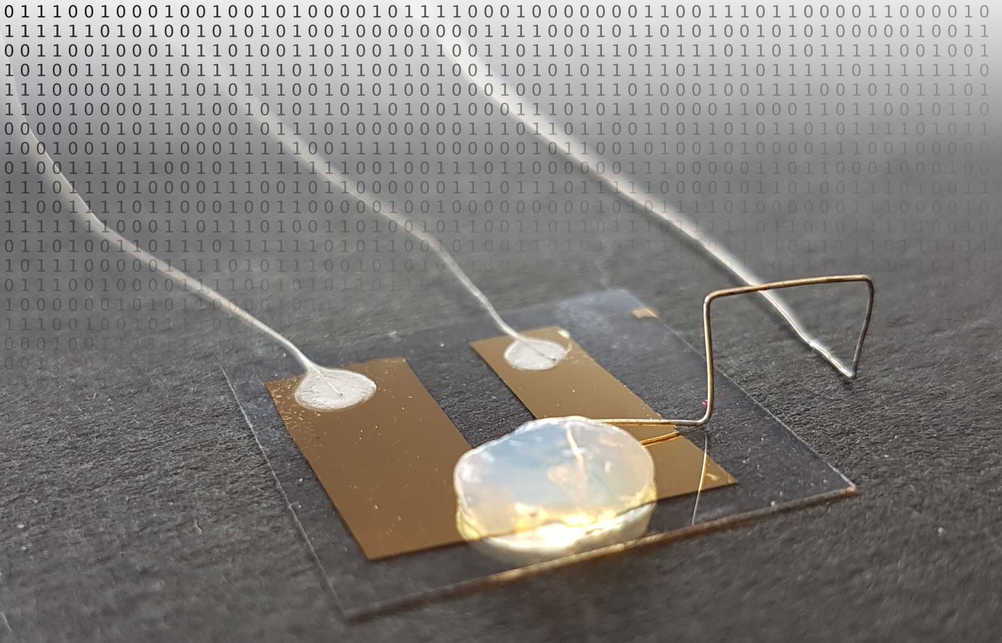 Single-Atom Transistor