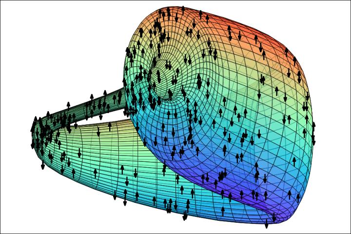 Pictorial representation of a physical system embedded on a twisted, topological complex manifold.