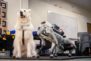 Guide dog and robotic guide dog