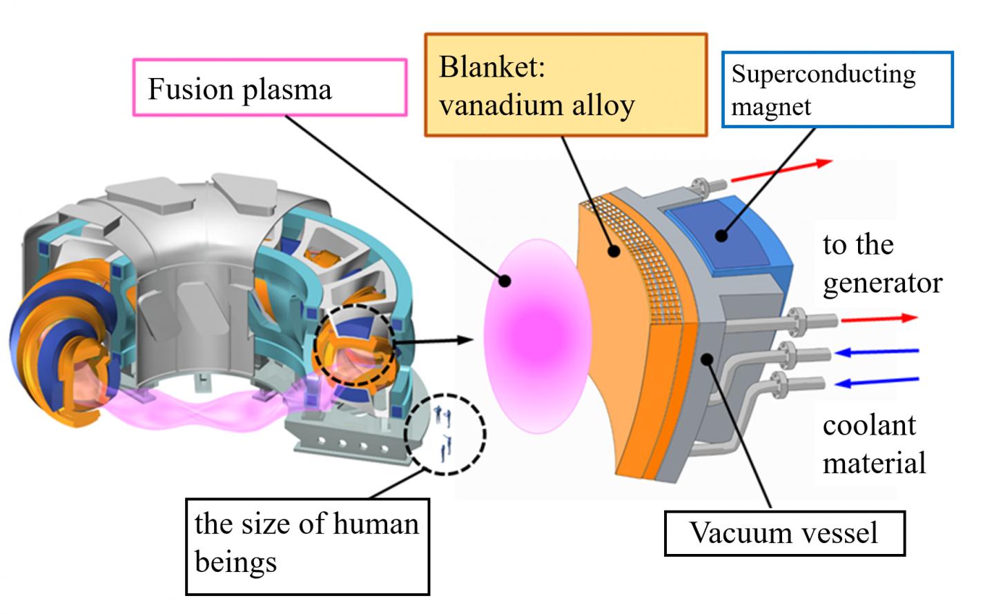 Helical-Type Fusion Reactor and Its Structure