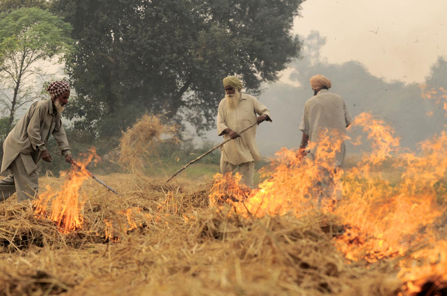 alternatives-to-burning-can-increase-indian-f-eurekalert